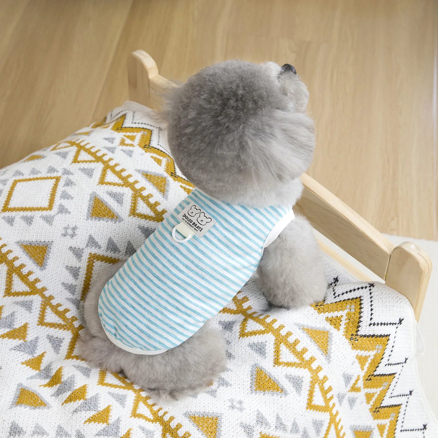 Dog Vest Soft Breathable Dog Clothes for Small Medium Dogs Cats Cute Puppy T-shirt Chihuahua Bichon Teddy Clothing