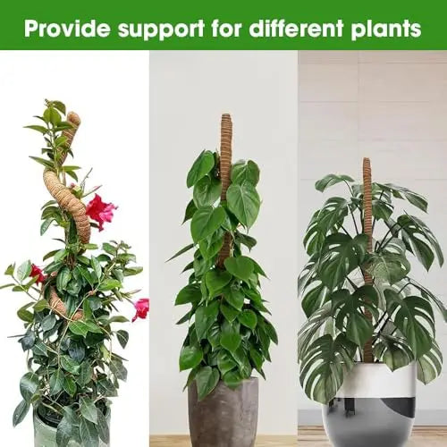 Bendable Moss Pole for Plants Coconut Palm Fiber Monstera Plant Support Handmade Coco Climbing DIY Garden Accessories