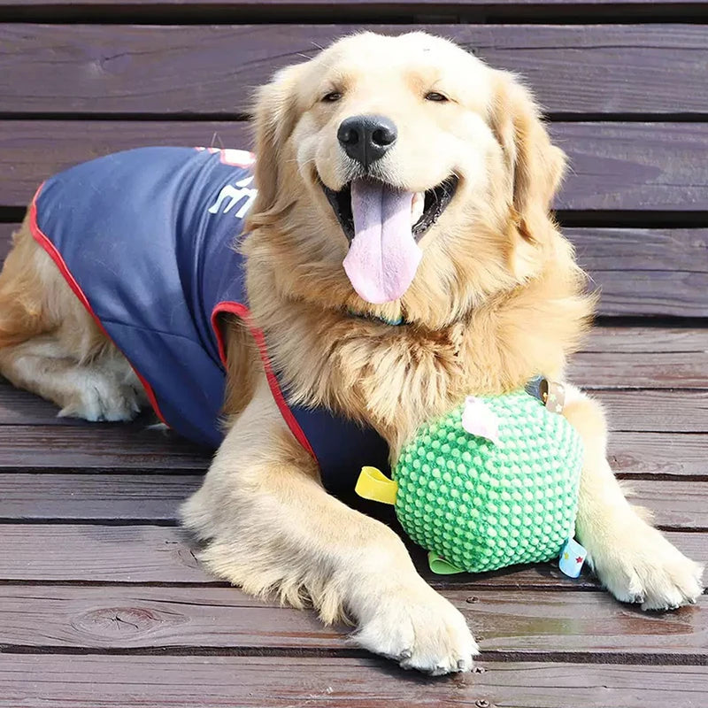 Squeaky Pet Dog Toy for Small Medium Dogs Bite Resistant Dog Chew Toy Interactive Puppy Toys  Dog Accessories