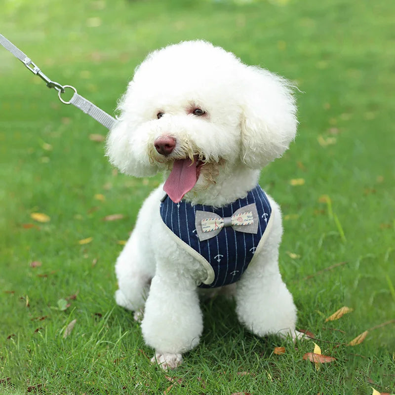 Striped Adjustable Cat Harness Leash Escape Proof Pet Harness for Cats Small Dogs Outdoor Walking Cat Harness with Bowknot
