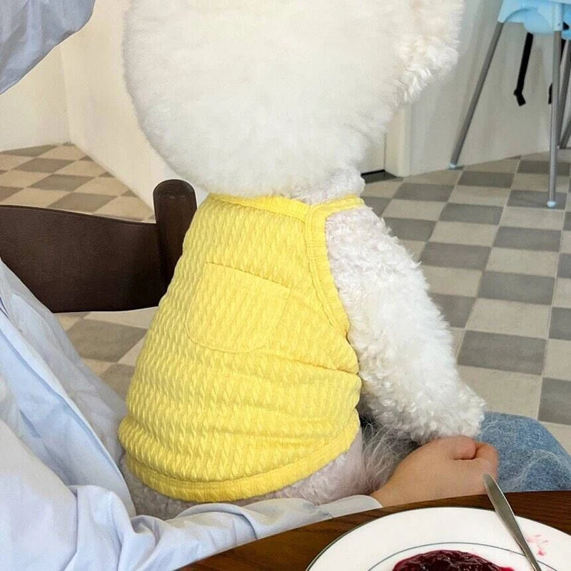 Summer Thin Dog Vest Breathable Dog Clothes For Small Dogs Chihuahua French Bulldog clothing Puppy Clothes Dog Accessories