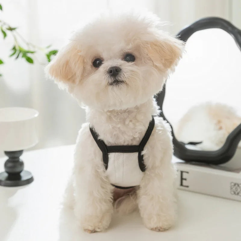 Dog Vest Thin Pet Dog Clothes for small Dogs Breathable Puppy Clothes Chihuahua  Perro Clothing Dog accessories