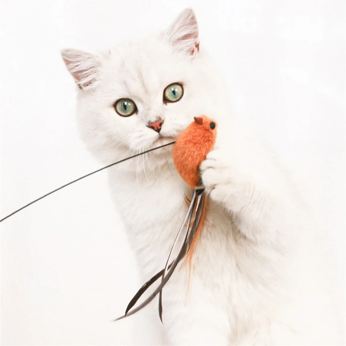 White cat with green eyes playing with an orange toy mouse.