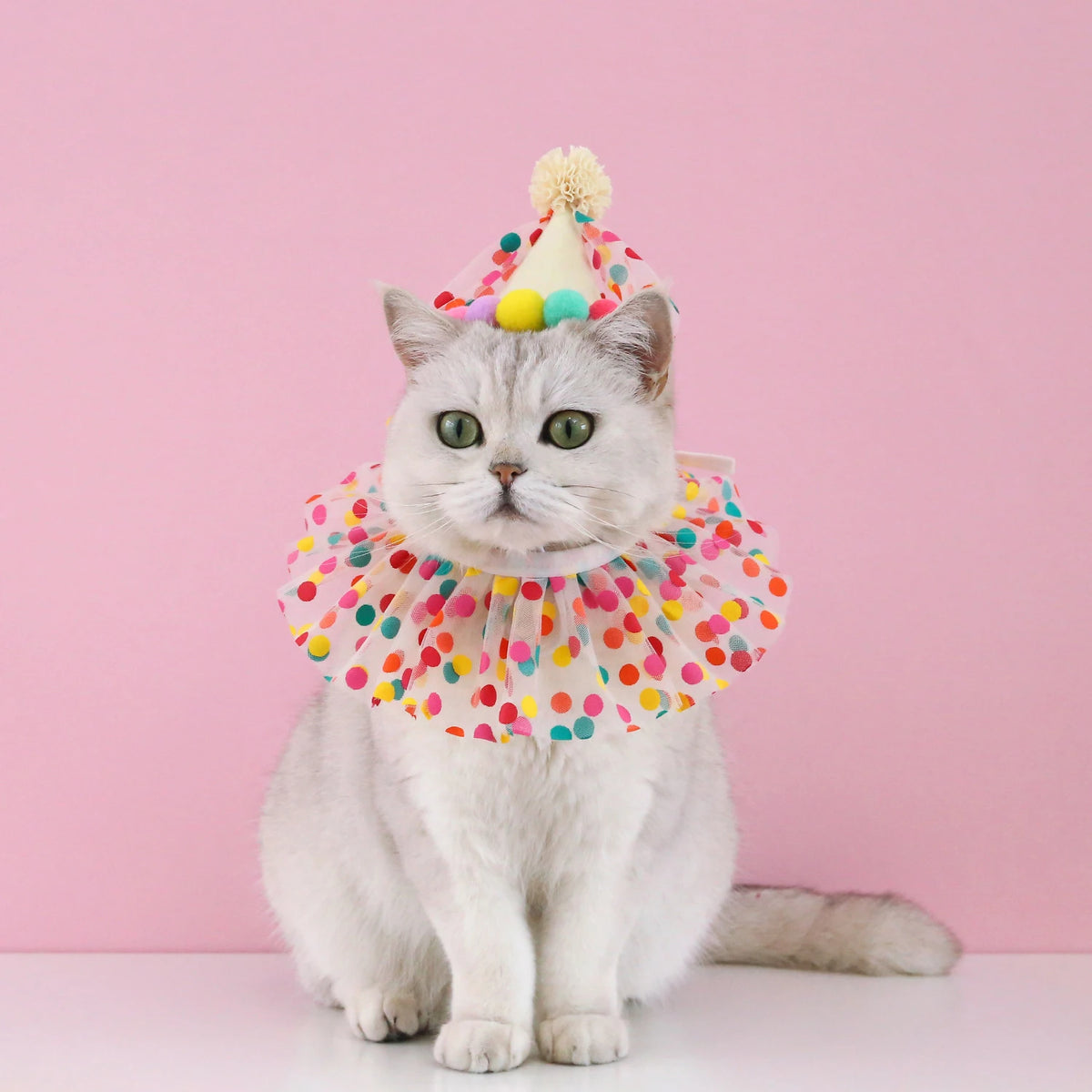 Colorful Dog Cat Birthday Hat Adjustable Cat Birthday Scarf Hat Set Cute Dog Bib Pet Birthday Party Dress Up Hat Dog Accessories