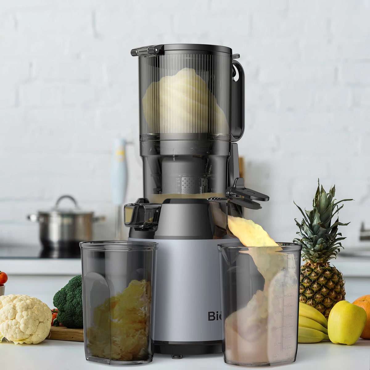 BioloMix Slow Masticating Juicer Cold Press with 130mm Feed Chute BPA Free High Juice Yield Whole Fruit & Vegetable Juicer