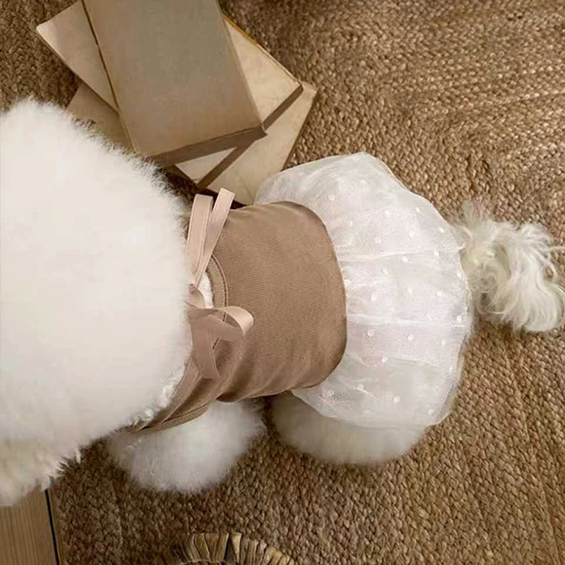 Summer Dog Dresses Breathable Pet Dog Skirts for Small Dogs Cats Chihuahua Yorkie Sweet Skirts Thin Dog Clothes Pet Supplies