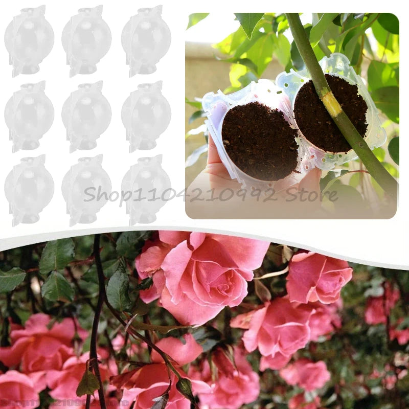 Plant Rooting Ball Grafting Rooting Box Breeding Case High Pressure Plant Root Growing Box for Garden Planting Supply