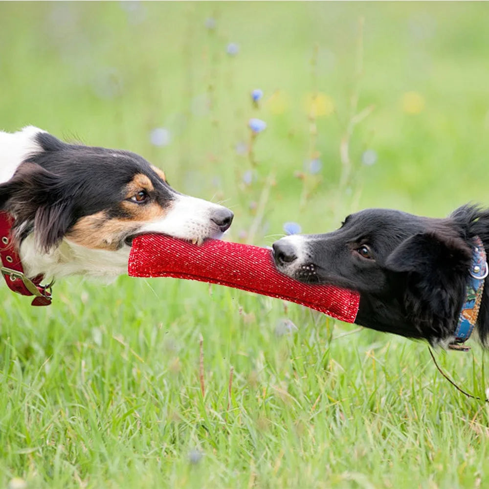 Interactive Pet Molar Toys for Small Medium Large Dogs Bite-resistant Dog Tug Of War Toys Durable Puppy Chewing Toy Pet Supplies