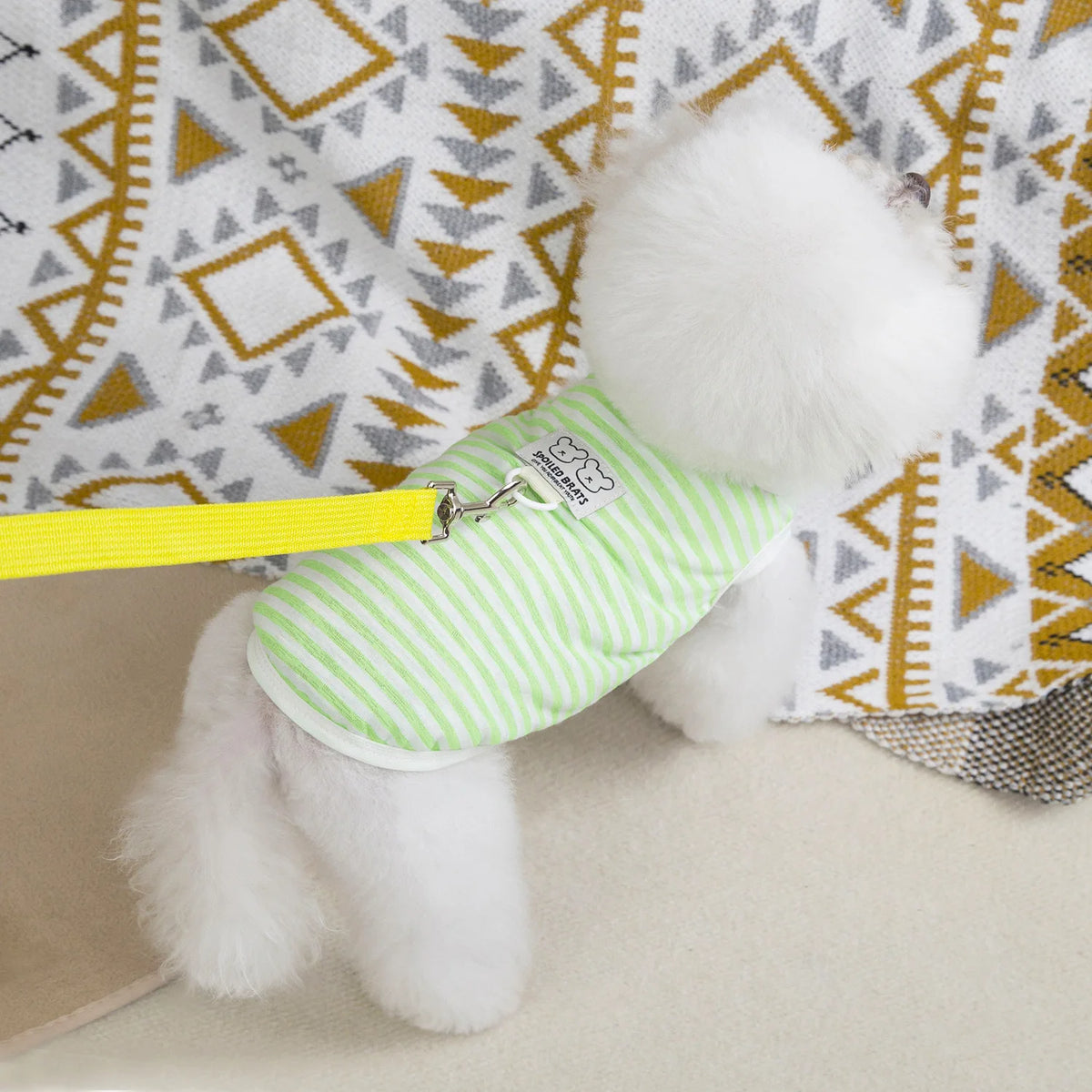 Dog Vest Soft Breathable Dog Clothes for Small Medium Dogs Cats Cute Puppy T-shirt Chihuahua Bichon Teddy Clothing