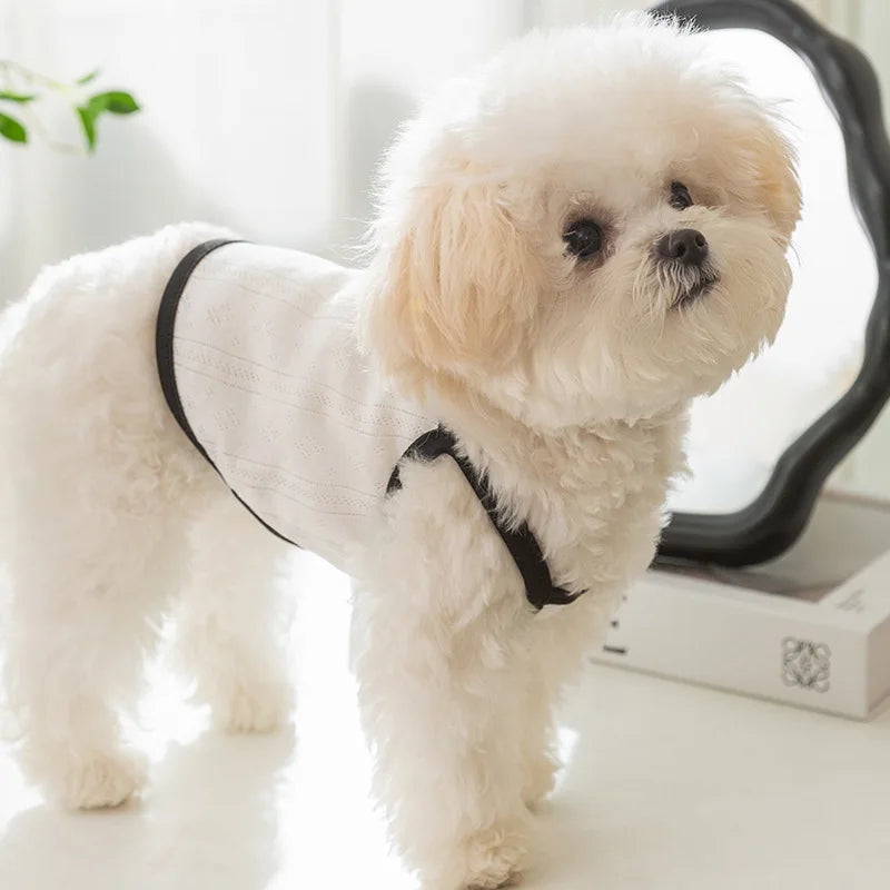 Dog Vest Thin Pet Dog Clothes for small Dogs Breathable Puppy Clothes Chihuahua  Perro Clothing Dog accessories