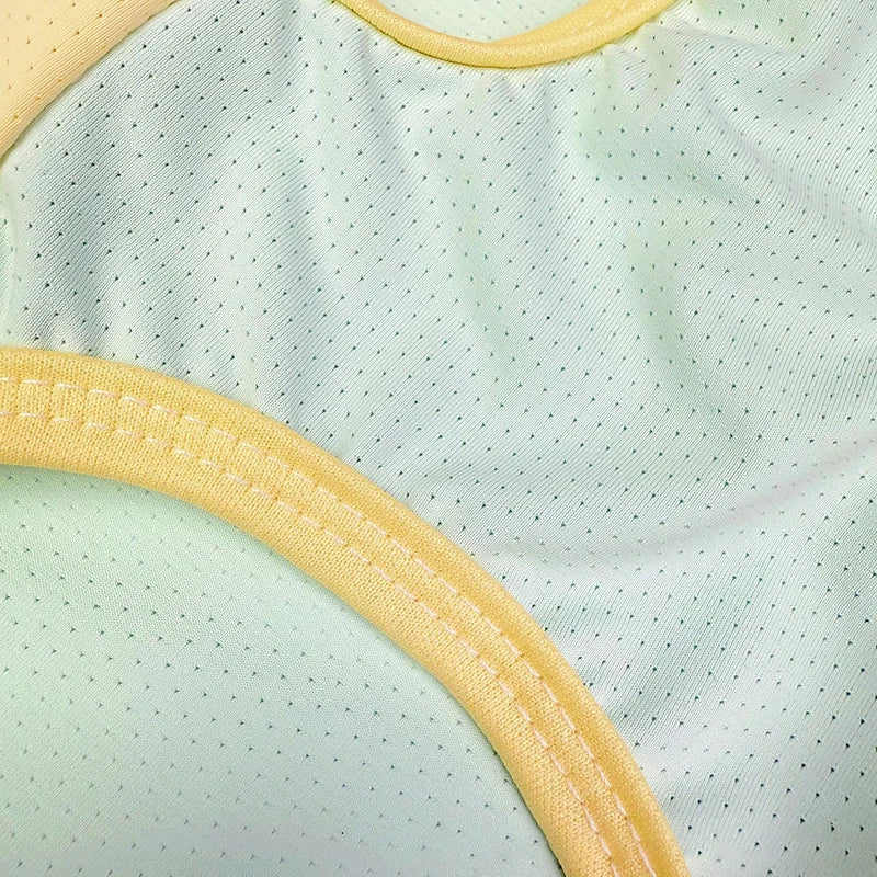 Summer Breathable Pet Dog Vest Thin Dog Clothes with D-ring Puppy T-Shirt Chihuahua Yorkie Clothing Dog Accessories