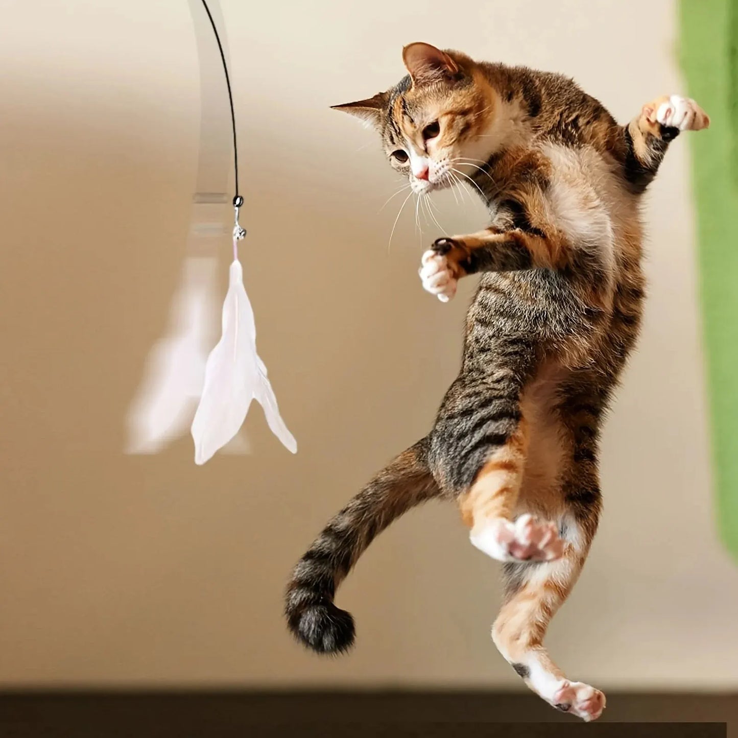 A playful tabby cat leaping to catch a feather toy.
