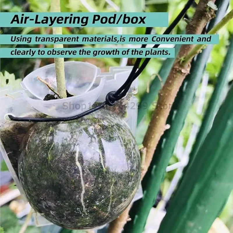 Plant Rooting Ball Grafting Rooting Box Breeding Case High Pressure Plant Root Growing Box for Garden Planting Supply