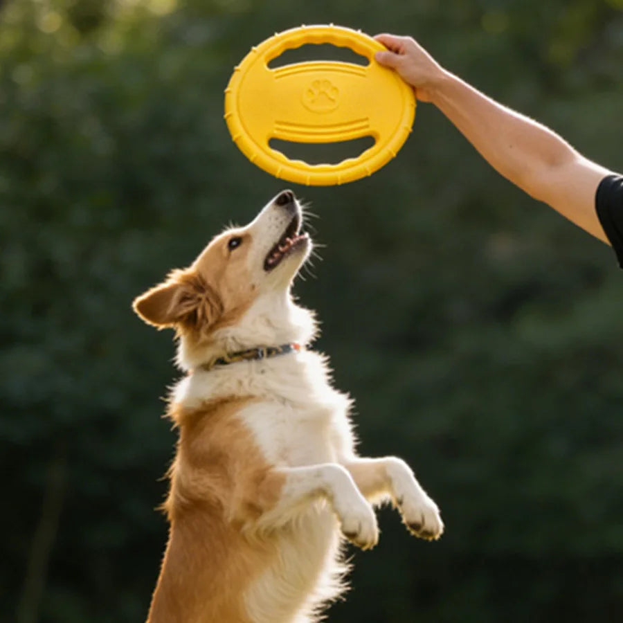 Interactive Dog Flying Discs Toy Outdoor Pet Training Toys for Small Medium Large Dogs Bite Resistant Puppy Toy Dog Accessories