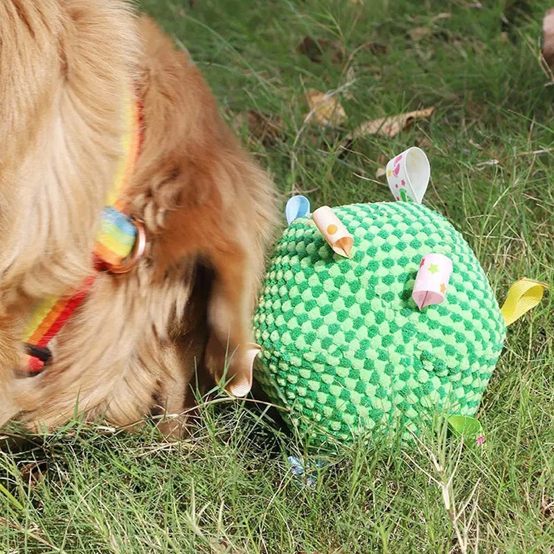 Squeaky Pet Dog Toy for Small Medium Dogs Bite Resistant Dog Chew Toy Interactive Puppy Toys  Dog Accessories