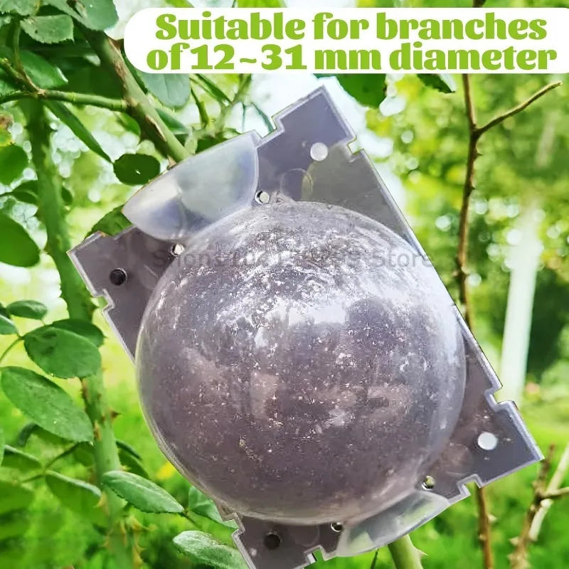 Plant Rooting Ball Grafting Rooting Box Breeding Case High Pressure Plant Root Growing Box for Garden Planting Supply