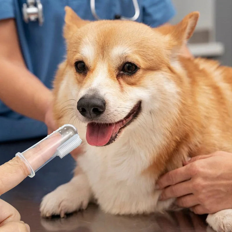 4 pcs/Set Dog Oral Cleaning Tools Pet Toothpaste Toothbrush Set for Cats Dogs Freshen Breath Puppy Cleaning Tools Pet Supplies