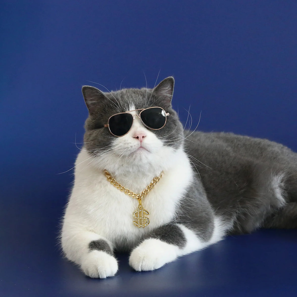 Luxury Pet Necklace for Cats Small Dogs Dollar Shape Cat Necklace Adjustable  Puppy Kitten Collar Pet Cosplay Necklace