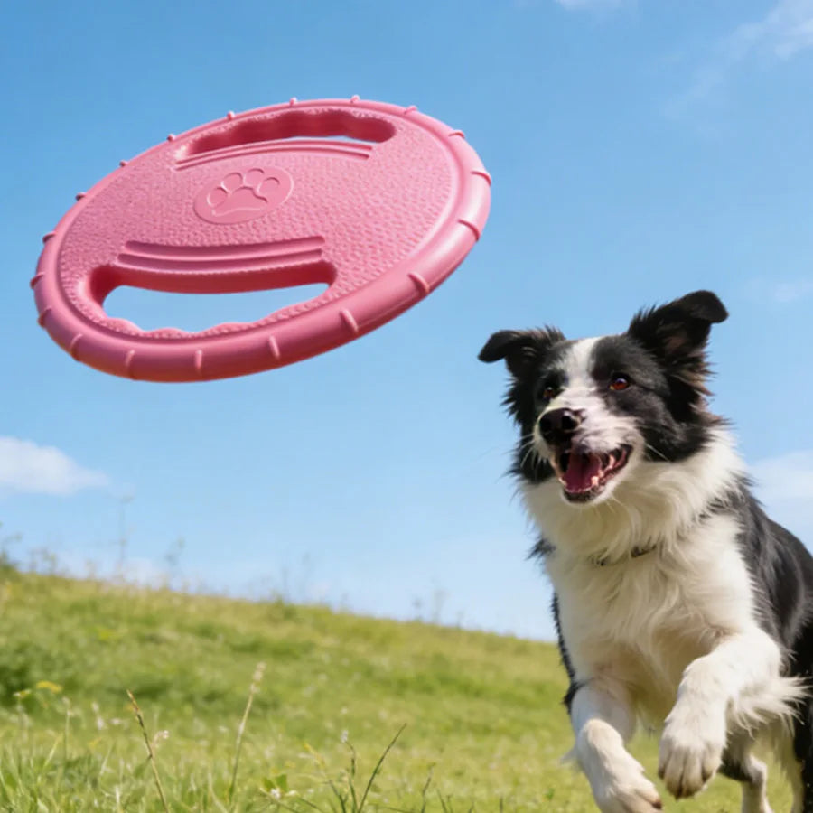 Interactive Dog Flying Discs Toy Outdoor Pet Training Toys for Small Medium Large Dogs Bite Resistant Puppy Toy Dog Accessories