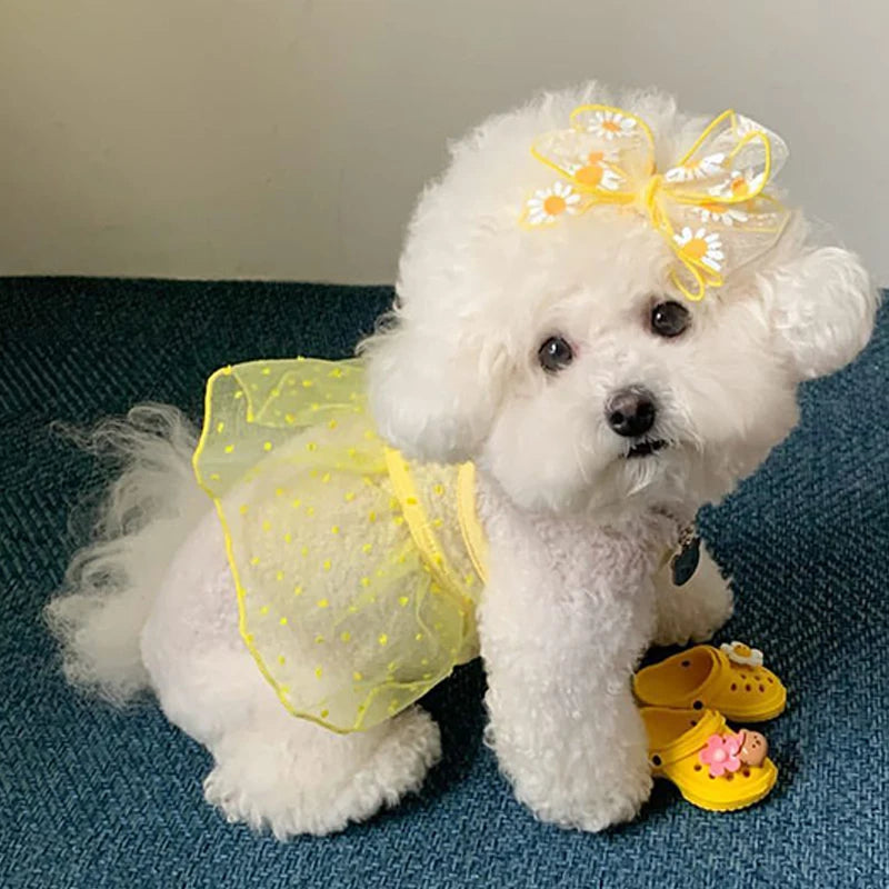 Summer Thin Dog Princess Dress Cute Breathable Pet  Dog Skirts for Small Dogs Puppy Cat Sweet Dress Dog Accessories