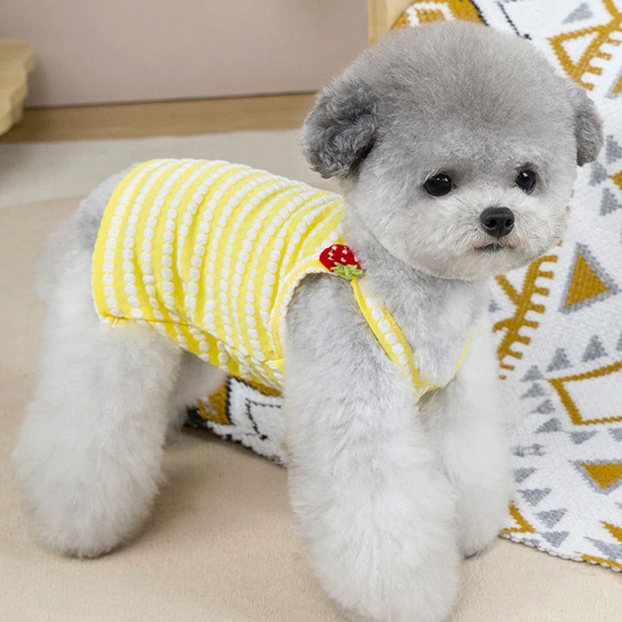 Summer Striped Pet Dog Clothes For Small Medium Dogs Breathable Dog Vest Thin Puppy T-Shirt Chihuahua Bichon Clothing