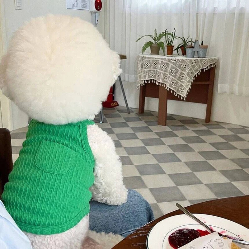 Summer Thin Dog Vest Breathable Dog Clothes For Small Dogs Chihuahua French Bulldog clothing Puppy Clothes Dog Accessories
