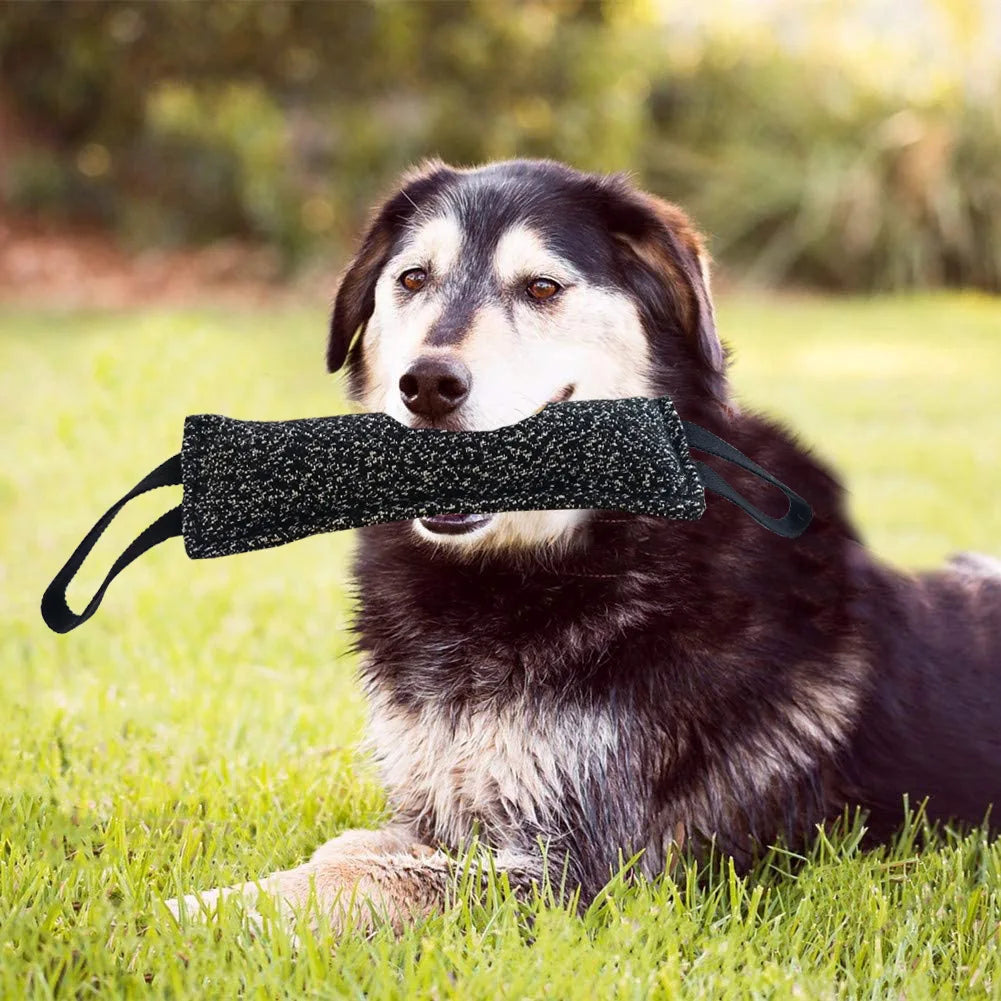 Interactive Pet Molar Toys for Small Medium Large Dogs Bite-resistant Dog Tug Of War Toys Durable Puppy Chewing Toy Pet Supplies