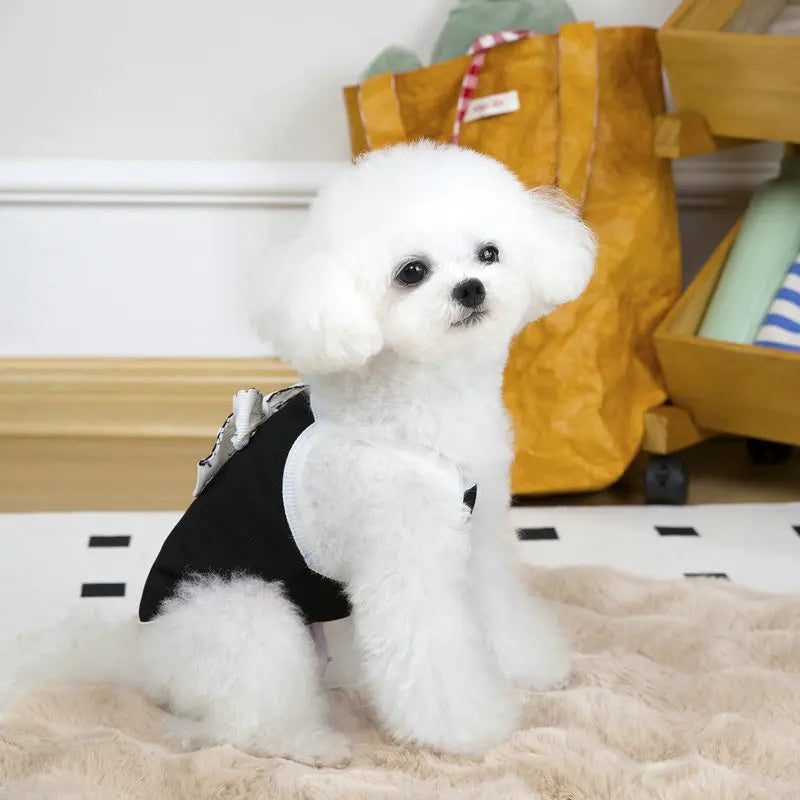 Summer Thin Dog Vest Breathable Pet Clothes for Small Medium Dogs Cute Puppy T-shirt Chihuahua Yorkie Clothing Dog Accessories