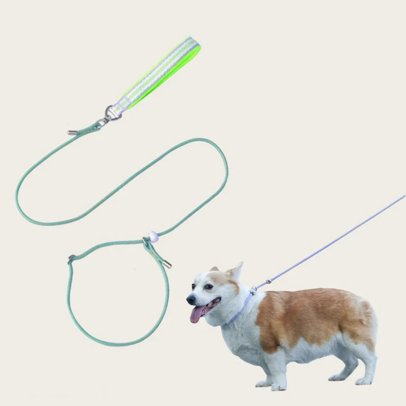 150cm/59.06in Strong Dog Leashes Nylon Walking Dog Leash Puppy Training Leashes Adjustable Pet Collar Lead Leash Pet Supplies