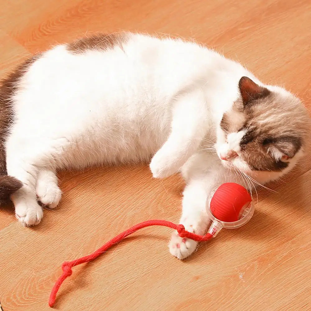 Automatic Rolling Ball Toy For Cat Electric Cat Toy Rolling Ball Pet Electric Toy Cat Training Imitate rats Indoor Playing Toys