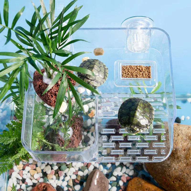 Acrylic Turtle Climbing Basking Tortoise Sun Drying Platform Transparent Turtles Floating Basking Platform with Feeding Area