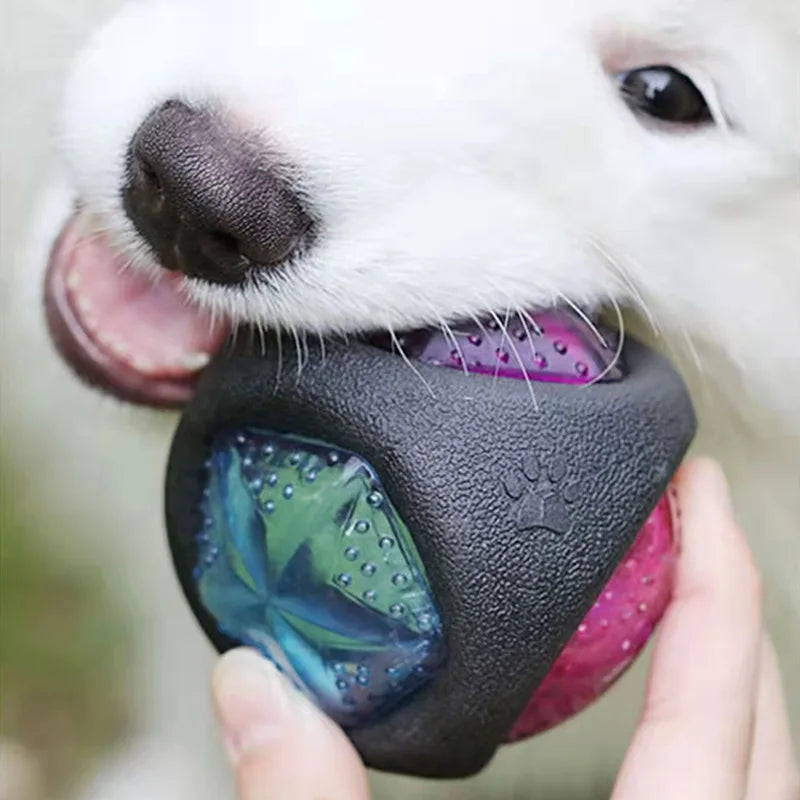 Interactive Pet Dog Toys Funny Dog Light up Ball Puppy Bouncy Balls Bite-resistant Pet Glowing Toys for Dogs Pet Supplies