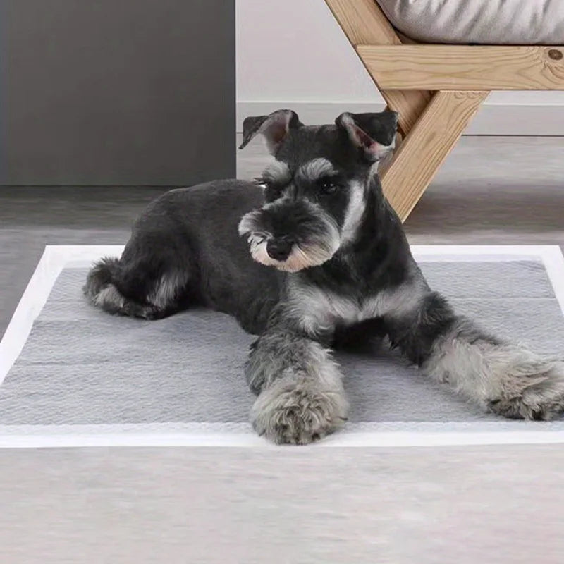 Absorbent Pet Diaper Thickened Puppy Training Pads Quick-Dry Pet Urine Mat Deodorise Dog Pee Pads Pet Supplies 100/50/40/20PCS