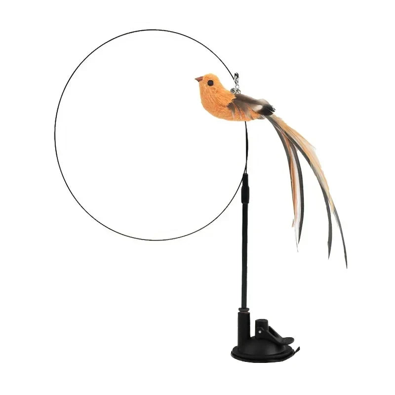 A cat toy featuring a suction cup base, a flexible rod, a circular wire, and a feathered bird attachment.