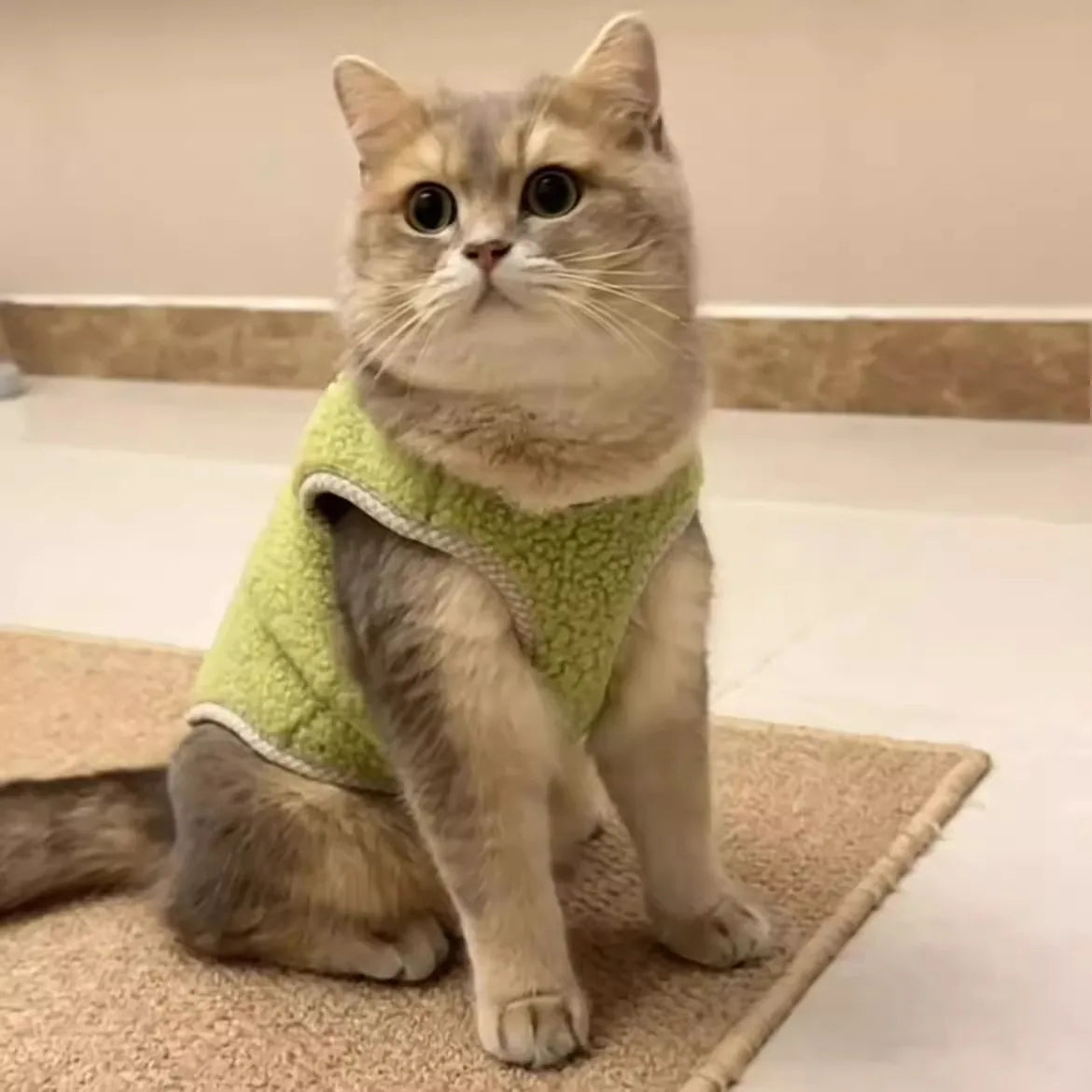 Winter Warm Dog Clothes for Small Medium Dogs Fleece Dog Coat Puppy Clothes Chihuahua Yorkies Clothing Dog Accessories