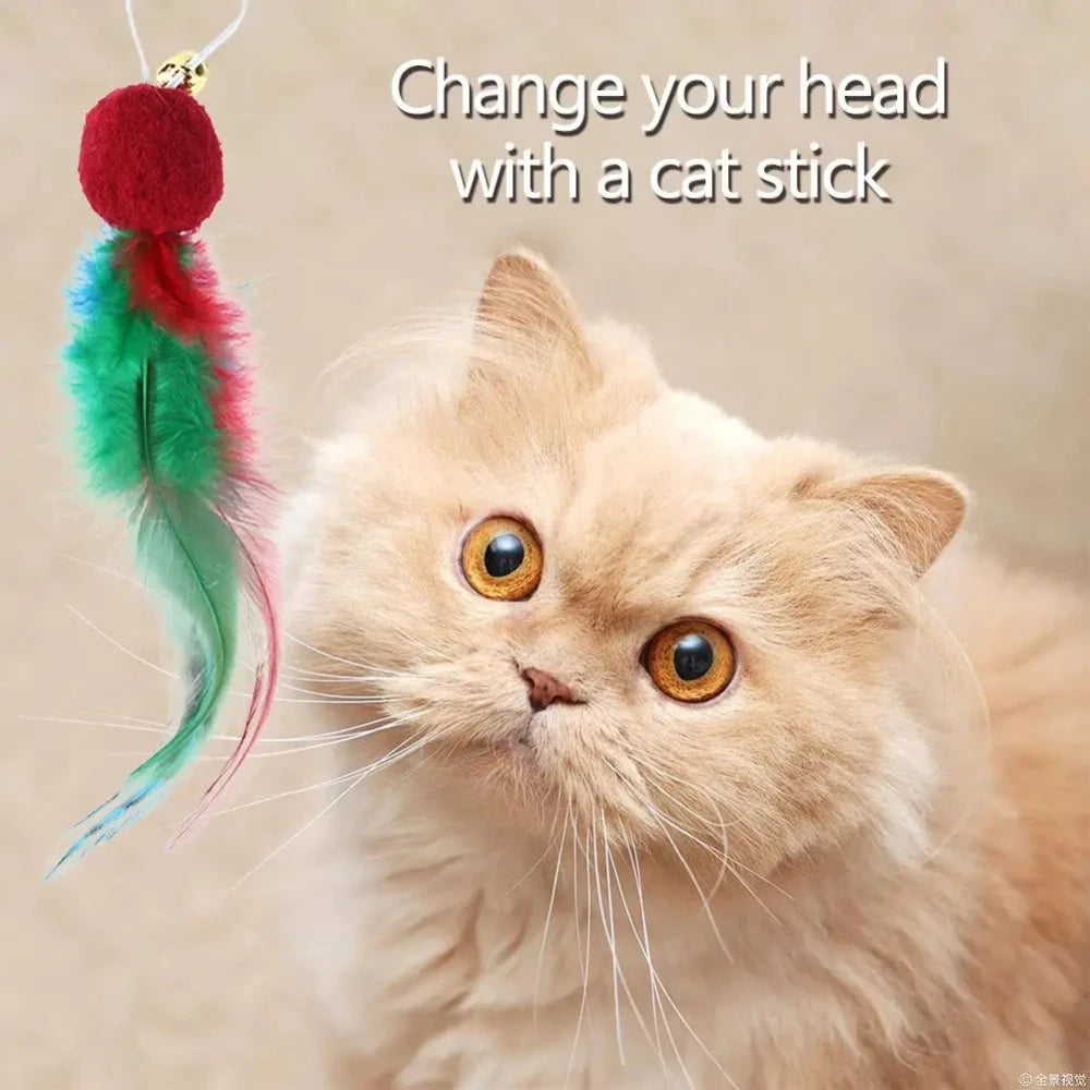 5 recharges de jouets à plumes pour chat avec clochette, plumes naturelles, accessoires pour canne à pêche pour chat, exercice et jeu en intérieur
