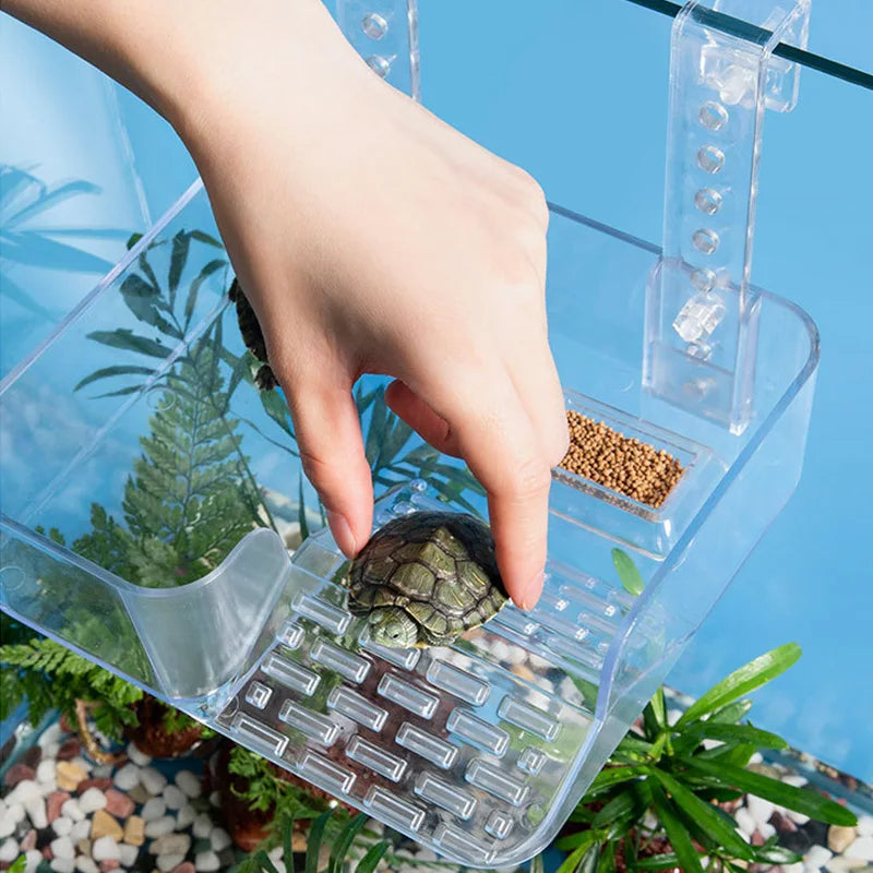 Acrylic Turtle Climbing Basking Tortoise Sun Drying Platform Transparent Turtles Floating Basking Platform with Feeding Area