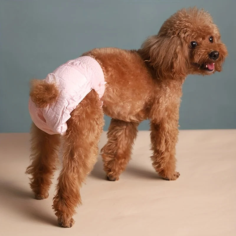 10pcs/pack Disposable Dog Diapers Leakproof Female Physiological Pants for Small Dogs Cats Super Absorption Puppy Nappies