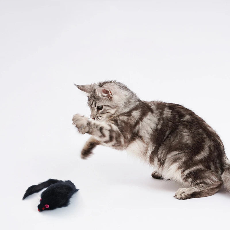 5/10Pcs False Mouse Cat Toy Long-haired Tail Mice With Sound Plush Soft Mouse Toys for Cats Bite-Resistant Kitten Playing Toys