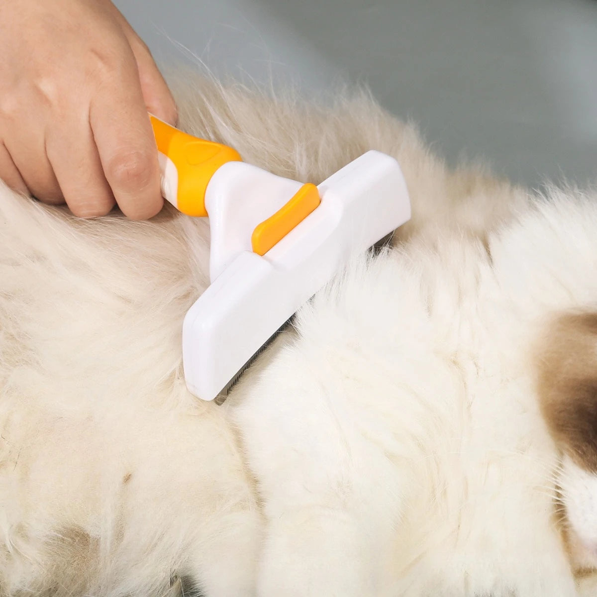 Dog Brush Cat Hair Care Grooming Accessories Supplies Pet Hair Remover Knotting Comb Large Animal Dogs Short Hair Dogs Anti Lice