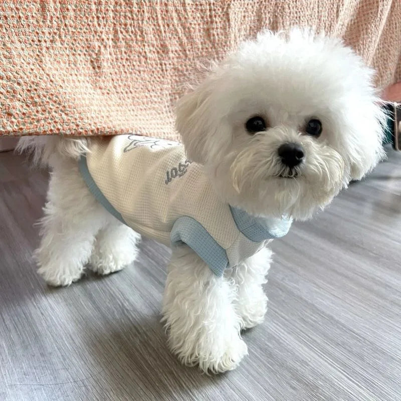 Breathable Dog Vest Spring Summer Pet Clothes for Small Dogs Chihuahua Yorkie Clothing with D-ring Pet Supplies