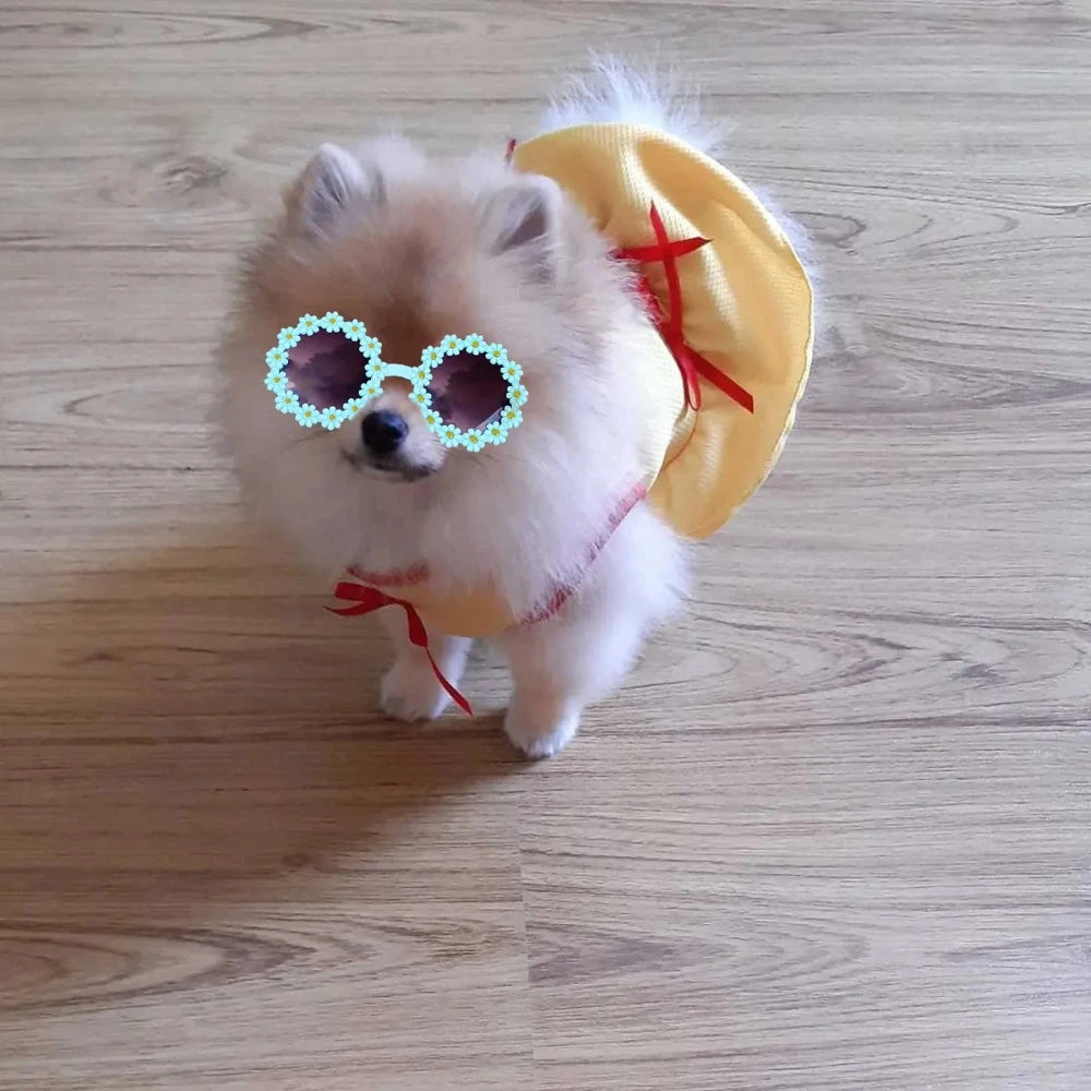 Accessoires pour animaux : lunettes de soleil rondes à fleurs, accessoires de déguisement pour photos pour chats, petits chiens et laisse en paracorde