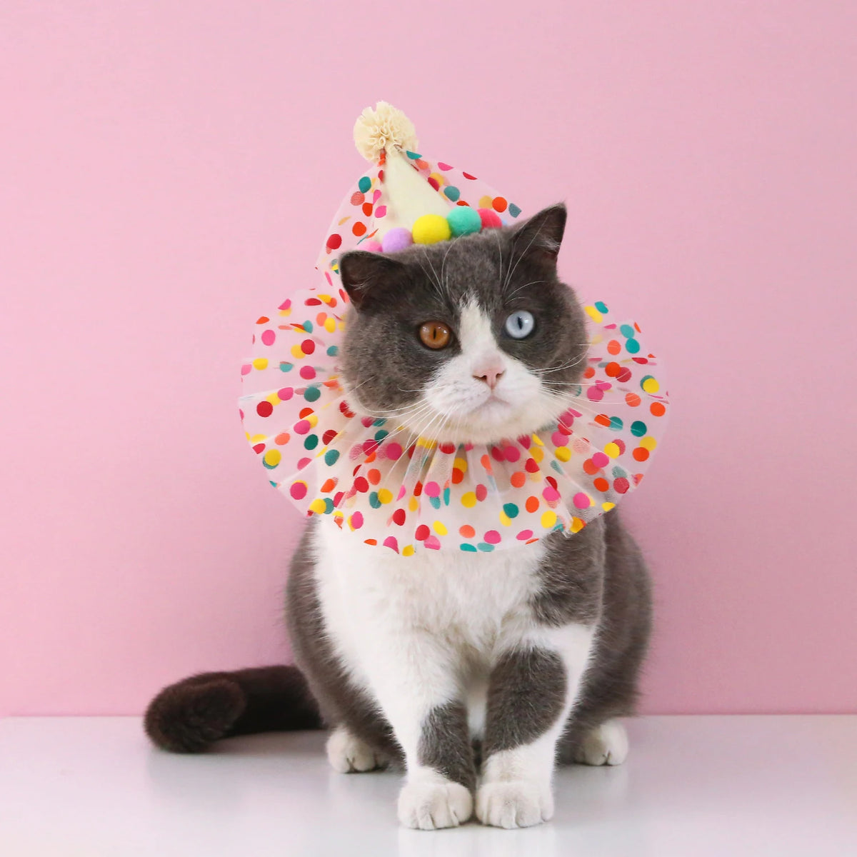 Colorful Dog Cat Birthday Hat Adjustable Cat Birthday Scarf Hat Set Cute Dog Bib Pet Birthday Party Dress Up Hat Dog Accessories