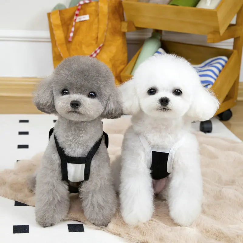 Summer Thin Dog Vest Breathable Pet Clothes for Small Medium Dogs Cute Puppy T-shirt Chihuahua Yorkie Clothing Dog Accessories