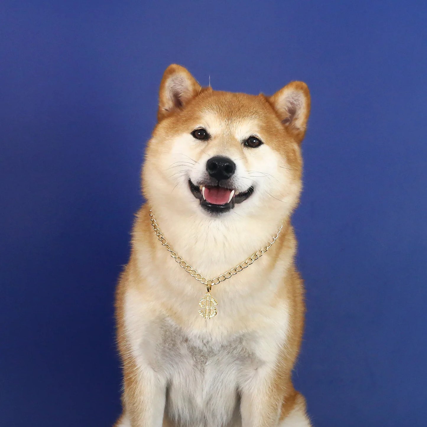 Luxury Pet Necklace for Cats Small Dogs Dollar Shape Cat Necklace Adjustable  Puppy Kitten Collar Pet Cosplay Necklace