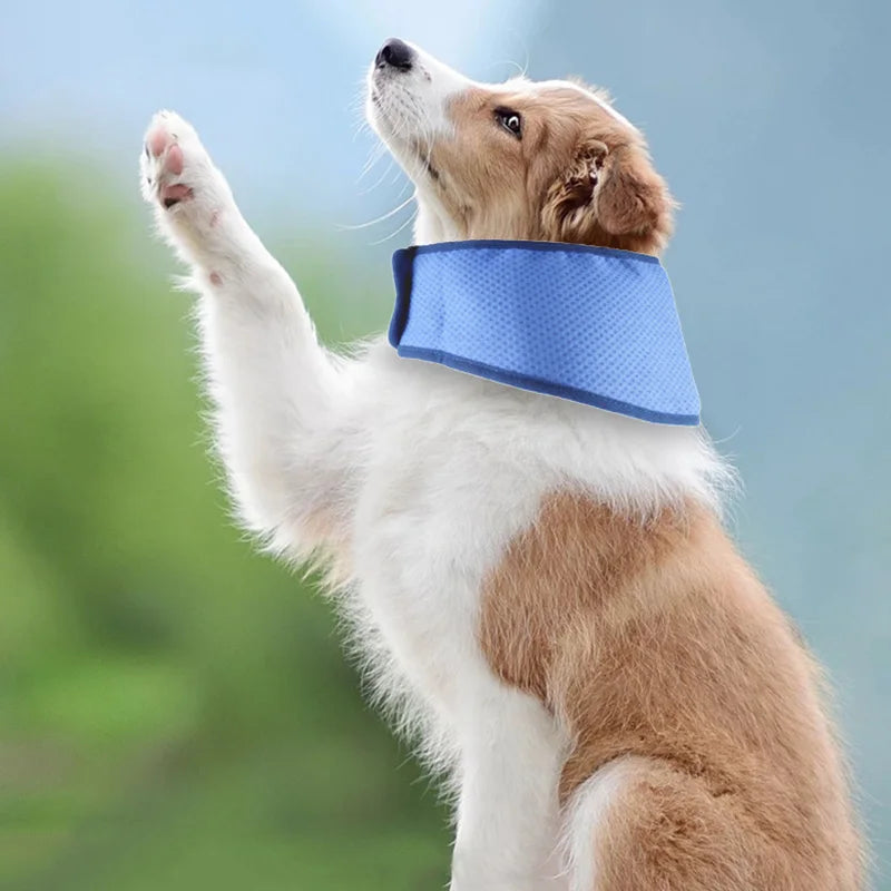 Dog Cooling Scarf (Use After Soaking) Adjustable Pet Bandana for Small Medium Dogs Breathable Puppy Ice Collar Dog Accessories