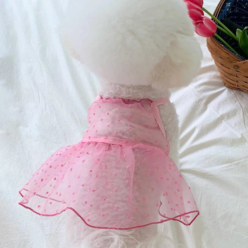 Summer Thin Dog Princess Dress Cute Breathable Pet  Dog Skirts for Small Dogs Puppy Cat Sweet Dress Dog Accessories