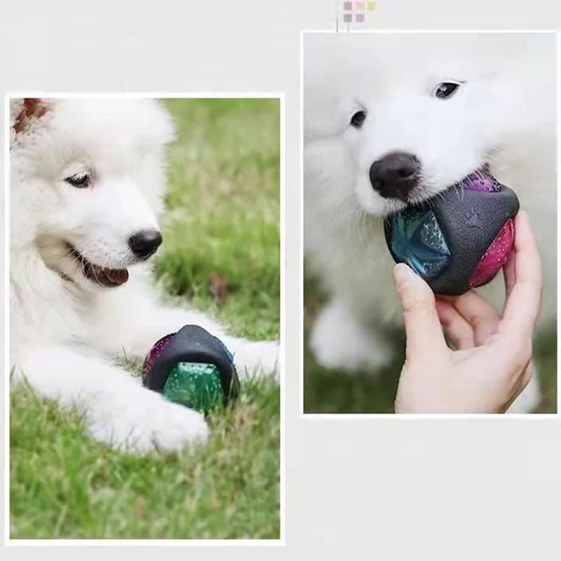 Interactive Pet Dog Toys Funny Dog Light up Ball Puppy Bouncy Balls Bite-resistant Pet Glowing Toys for Dogs Pet Supplies