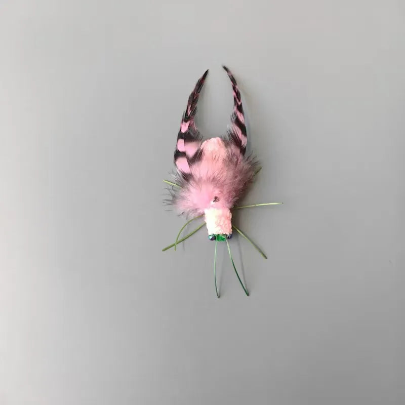 Lot de 2/3 têtes de rechange pour jouet pour chat, imitation insecte à plumes, jouet interactif pour chaton