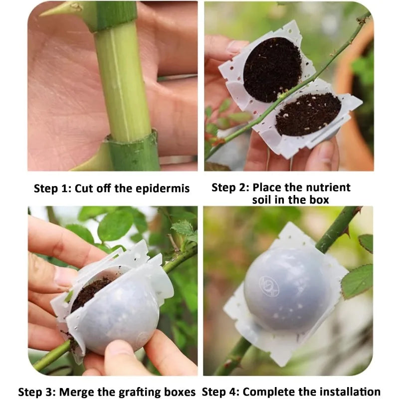 Plant Rooting Ball Grafting Rooting Box Breeding Case High Pressure Plant Root Growing Box for Garden Planting Supply